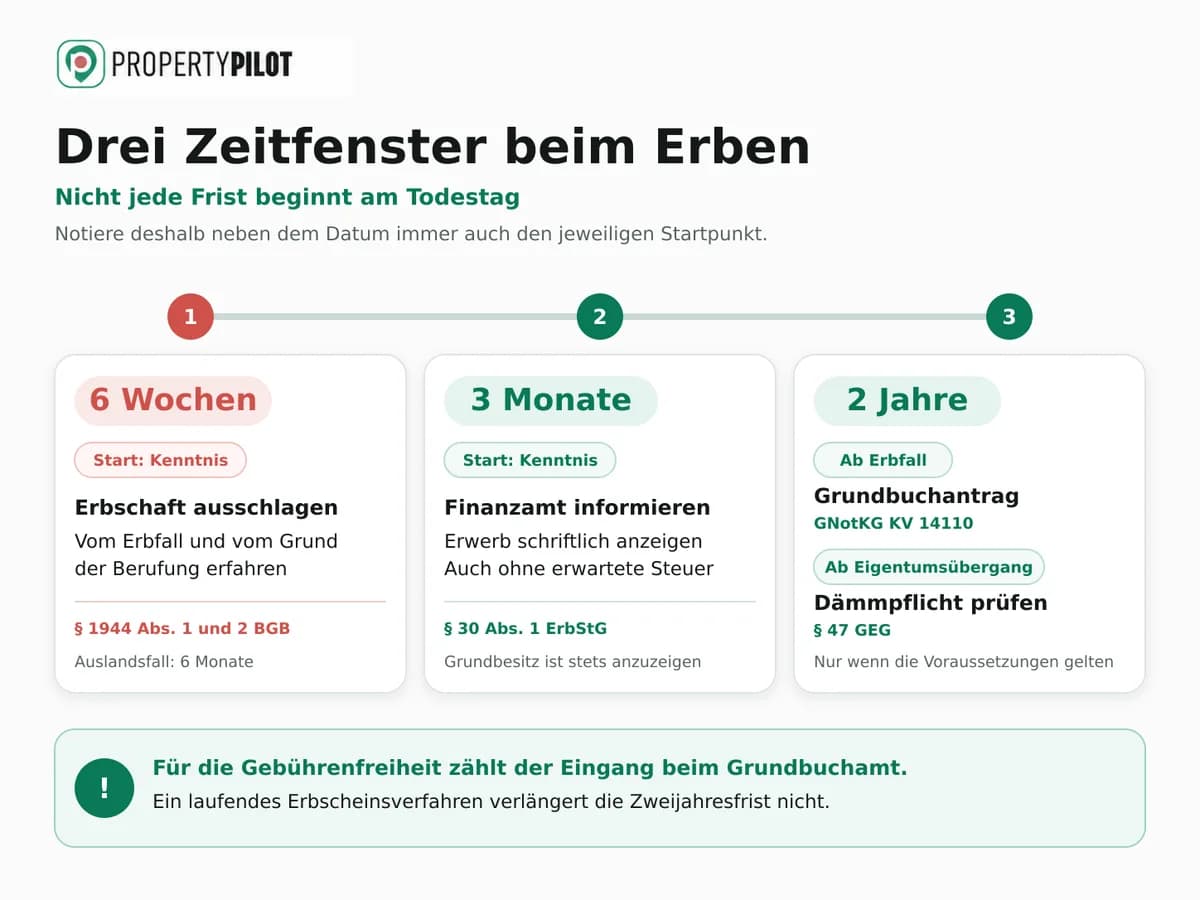 Infografik: Immobilie erben: die ersten Schritte und Fristen